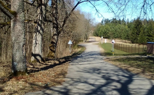 32_dviračių takas (1).jpg